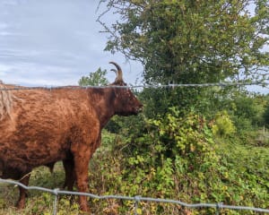 Belle Balade en famille sur le sentier du Fartz de Wissant - Wissant - 19