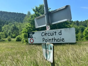 Roches de Pointhaie - Bruyères - 17