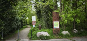 La promenade verte - Kingersheim - 6