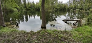 La promenade verte - Kingersheim - 8