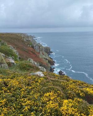 De tocht naar Pointe du Van - Cléden-Cap-Sizun - 9