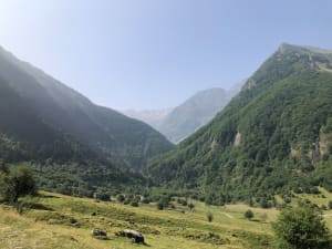 Een wandeling rond het Oô-meer en zijn vele facetten van het dierenleven - Les Granges d'Astau, Oô - 124