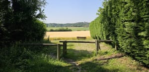 Het achterland van Duinkerke en de sprankelende natuur - Cassel - 2
