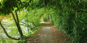 Balade des bords de l'Oise - Mériel - 6