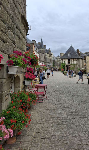 Rochefort en Terre - Rochefort-en-Terre - 10