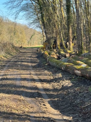 Rando autour du bois de Saint-Julien-du-Sault - Saint-Julien-du-Sault - 6