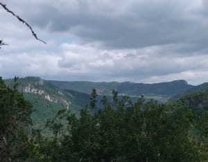 Le parfum d'Estrela au départ de Jeurre - Jeurre - 11