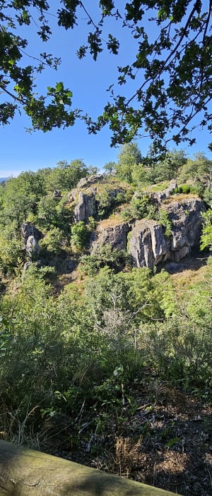 Gorge de Bilhard depuis Monistrol - Monistrol-sur-Loire - 18
