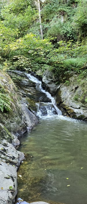 Gorge de Bilhard depuis Monistrol - Monistrol-sur-Loire - 19