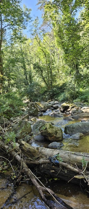 Gorge de Bilhard depuis Monistrol - Monistrol-sur-Loire - 20