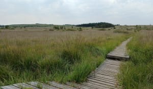 De heidevelden, de veenmoerassen van Brennilis en zijn rustgevende meer - Finistère - 3