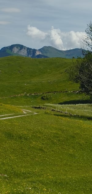 Randonnée depuis Les Granges avec panorama Mont-Blanc - Onnion - 7