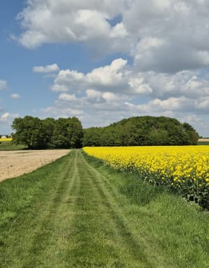 Le Sentier direction Monthodon - Monthodon - 4