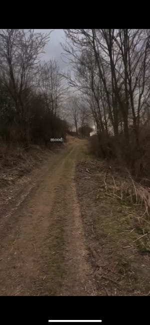 Balade entre Grevillers et Irles par le bois - Noémie - 3