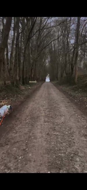 Balade entre Grevillers et Irles par le bois - Grévillers - 2