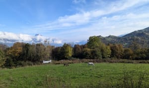 Mûrier,  Villeneuve et Romage en boucle - Saint-Martin-d'Hères - 8