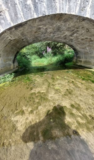 Rollainville, histoire de calcaire et sortie boisée - Neufchâteau - 4