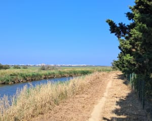 Saint Nazaire et la transhumance, par l'Etang - Saint-Nazaire - 5