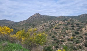 Boucle dans le massif d’Ille-sur-Têt - Ille-sur-Têt - 13