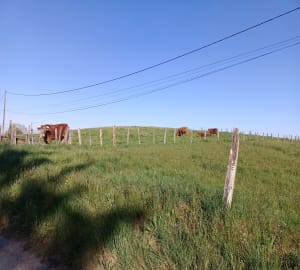 Petite promenade vers La Chapelle de la Tour - Jean Philippe - 2
