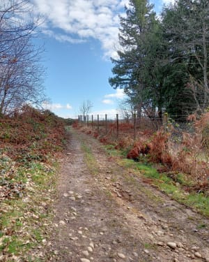 Balade dans les Chambarans - Roybon - 9