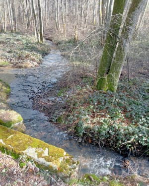 Balade dans les Chambarans - Roybon - 10