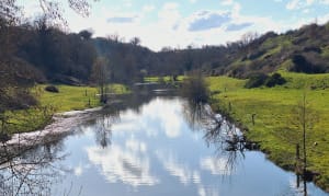 Tour du lac et de la cité d’Argentonnay - Julien - 8