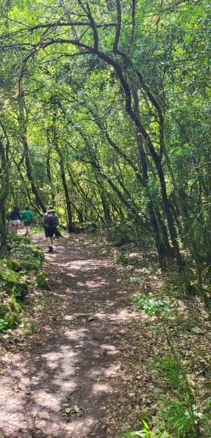 De lagere Gorges du Verdon en een verfrissend bad - Quinson - 162