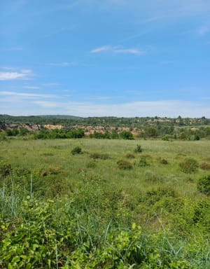 Balade à Loupian - Loupian - 6