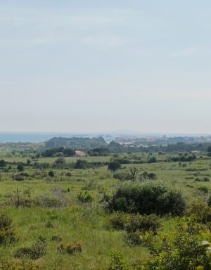 Balade à Loupian - Loupian - 8