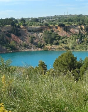 Balade à Loupian - Loupian - 10