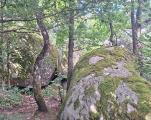 Rochers du Sidobre - Lacrouzette - 2