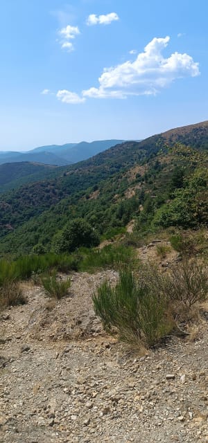 Du rocher de l'aigle et vues panoramiques - Val-d'Aigoual - 6