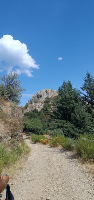 Du rocher de l'aigle et vues panoramiques - Val-d'Aigoual - 9