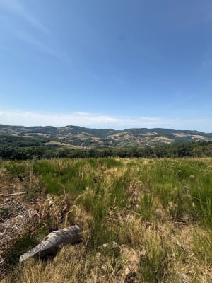 Balade entre les Roches - Vergisson - 4