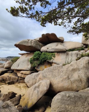 Trégastel et tour de l'île Renote - Trégastel - 62