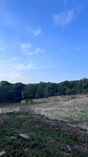Fromentin au Mont Cindre dans les Mont d’Or - Saint-Didier-au-Mont-d'Or - 5