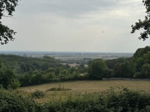 Sentier des Jacinthes - Saint-Jans-Cappel - 5