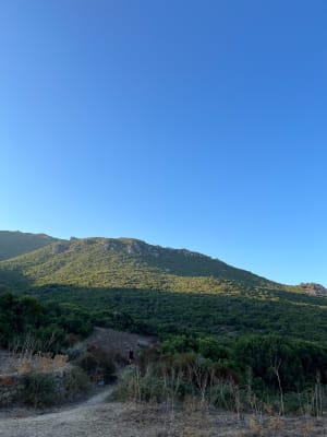 Capo di feno, vers golf de Lava depuis Villanova - Villanova - 39