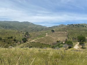 De Collioure à Cadaquès : Jour 2 de Banyuls à Colera - Banyuls-sur-Mer - 7
