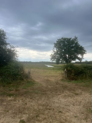 Marais de Donges - Donges - 17