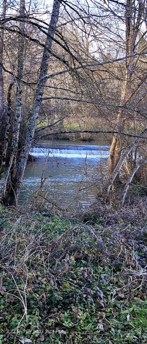 Ballade en bord de Sèvre de Saint-Maixent-l'École - Agnes - 11