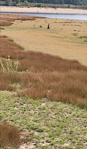 Balade autour du lac des Pradeaux - Grandrif - 16