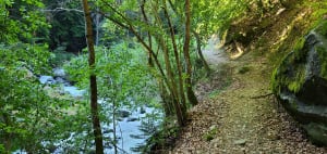 Les Allues par le Bois de Cythère - Brides-les-Bains - 10