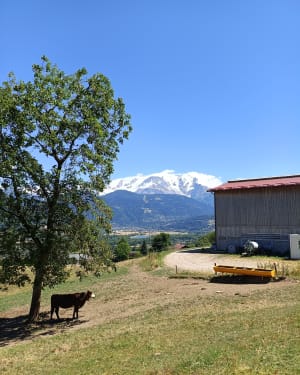 Super balade et panorama à 360 depuis Sallanches ! - Aline - 12