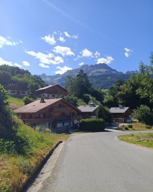 Super balade et panorama à 360 depuis Sallanches ! - Aline - 14