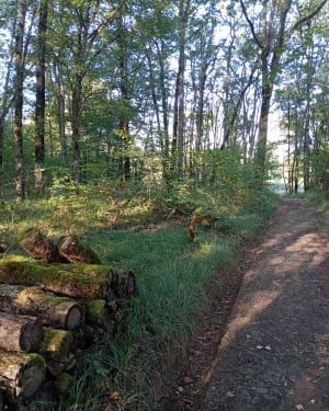 Balade jusqu'au Château de Commarque - Les Eyzies - 21