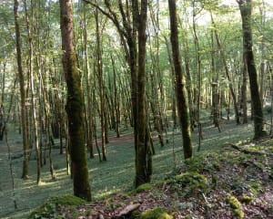 Balade jusqu'au Château de Commarque - Les Eyzies - 22