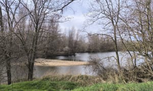Marche rapide à Saint Georges sur Allier - La Roche-Noire - 3