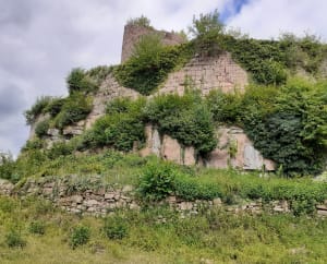 Château de Frankenbourg et Rocher du Coucou - La Vancelle - 5